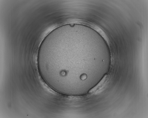 X0000111470954200907271309