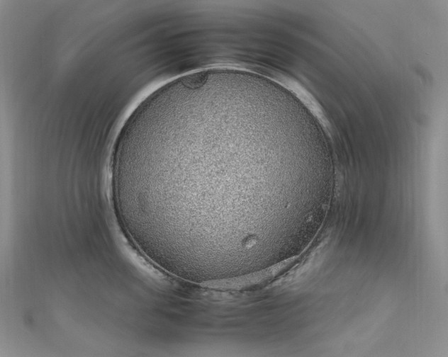 X0000111470955200907271309