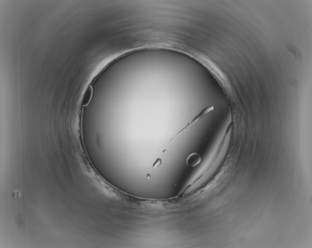 X0000111470956200907271309