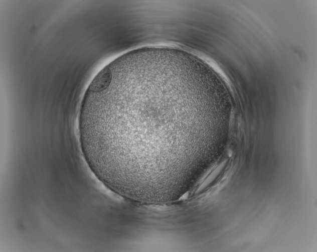 X0000111470959200907271309