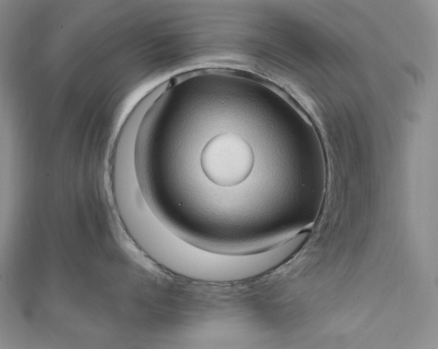 X0000111470960200907271309