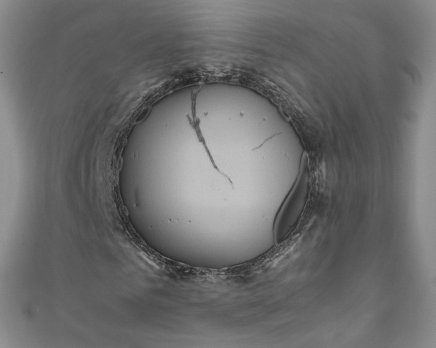 X0000111470961200907271308