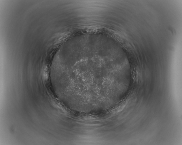 X0000111470962200907271308