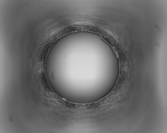 X0000111470965200907271308