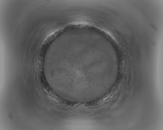 X0000111470967200907271308