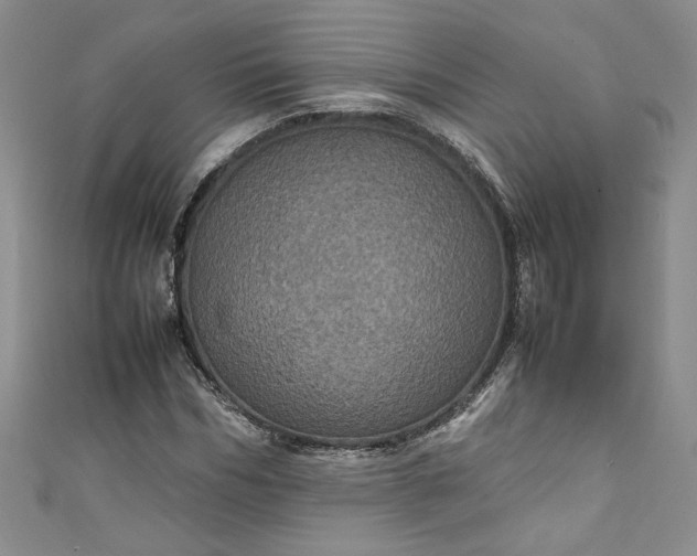 X0000111470970200907271308