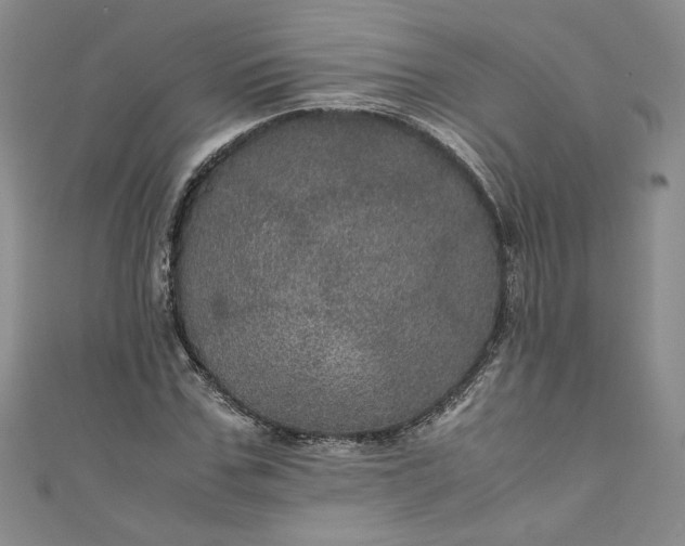 X0000111470971200907271308