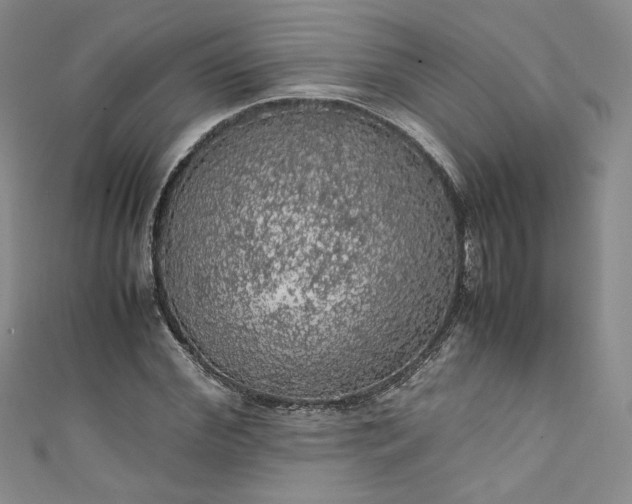 X0000111470972200907271308