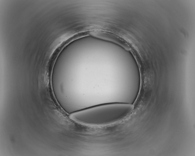 X0000111470973200907271308