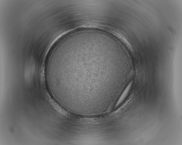 X0000111470976200907271308