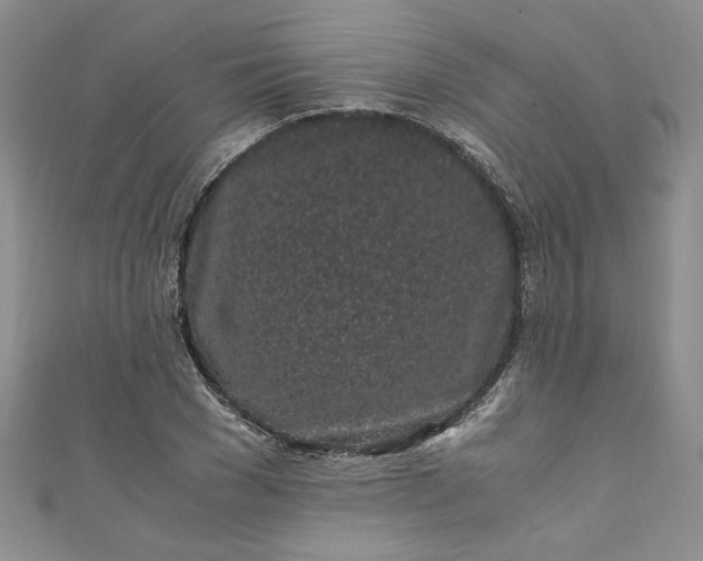 X0000111470977200907271308