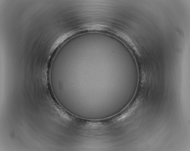 X0000111470978200907271308