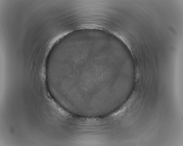 X0000111470979200907271308