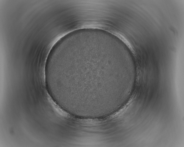 X0000111470980200907271308