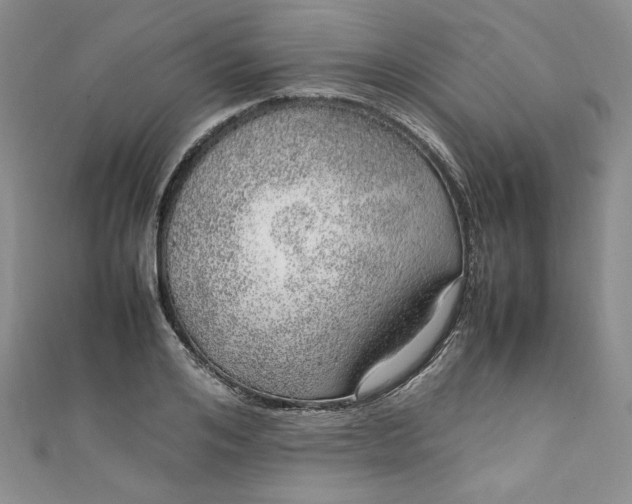 X0000111470984200907271308