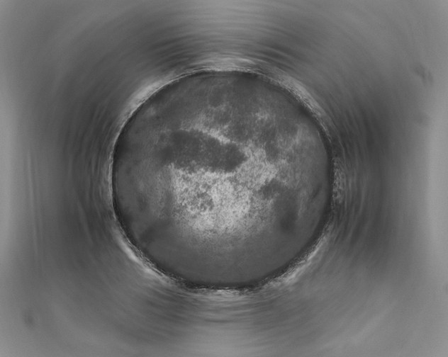 X0000111470986200907271308