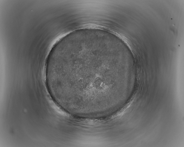 X0000111470987200907271308