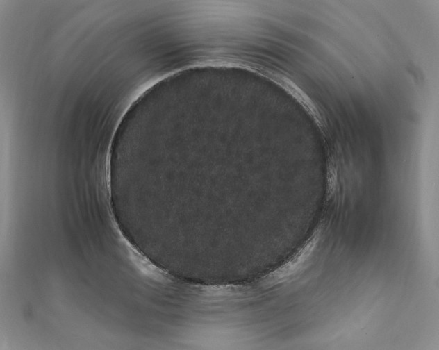 X0000111470988200907271308