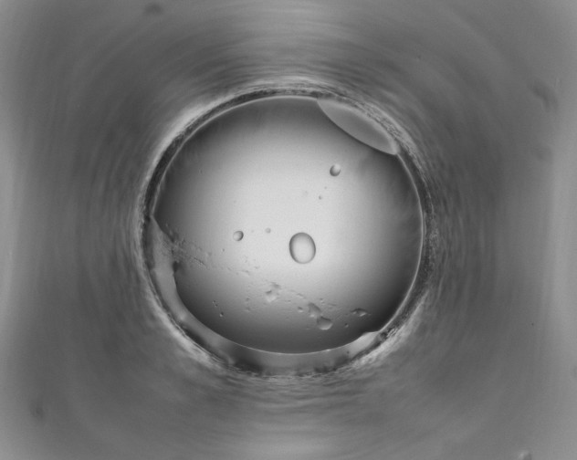 X0000111470989200907271308