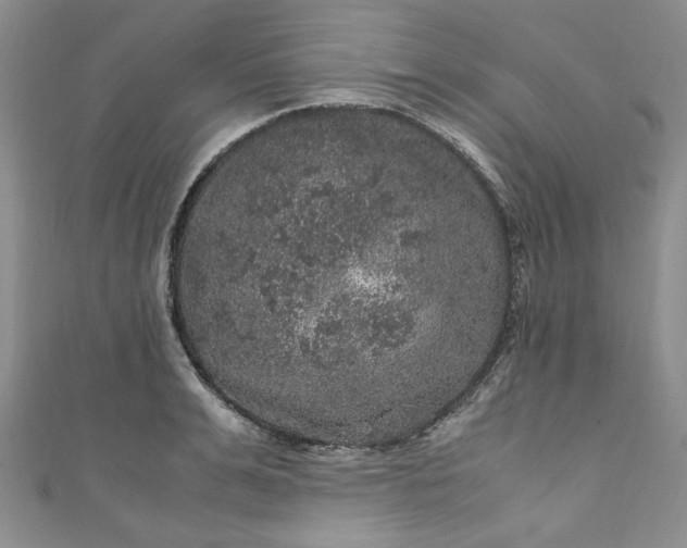 X0000111470991200907271308