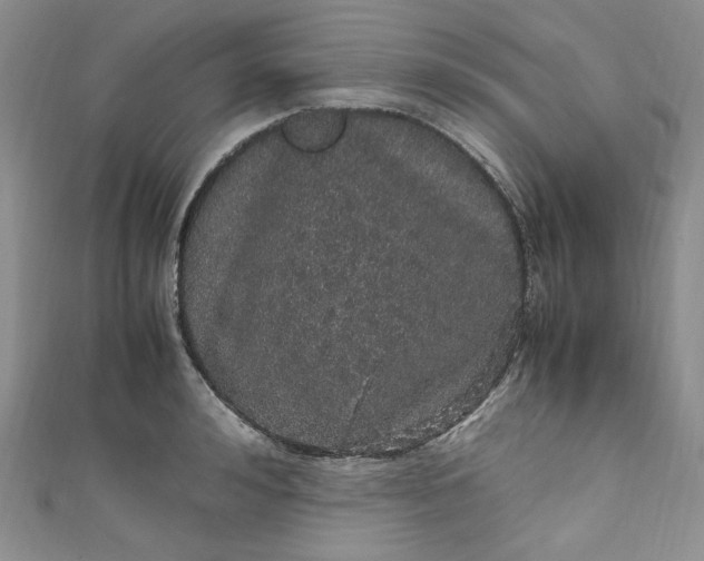 X0000111470992200907271308