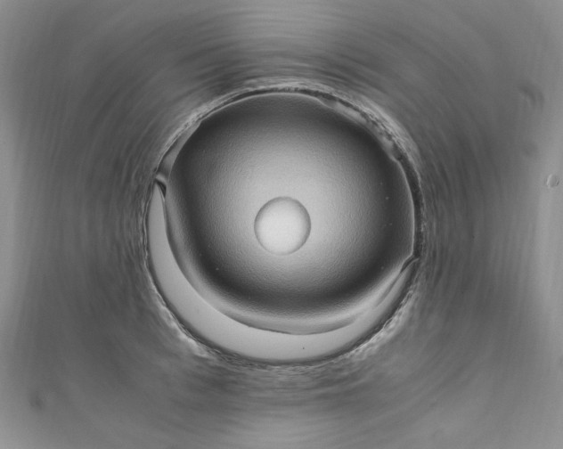 X0000111470993200907271308