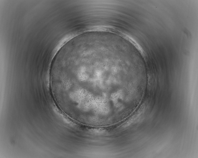 X0000111470994200907271308