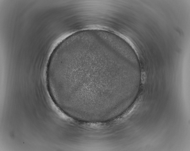 X0000111470995200907271308