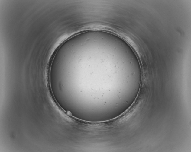 X0000111470997200907271308