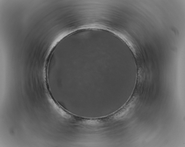 X0000111470998200907271308