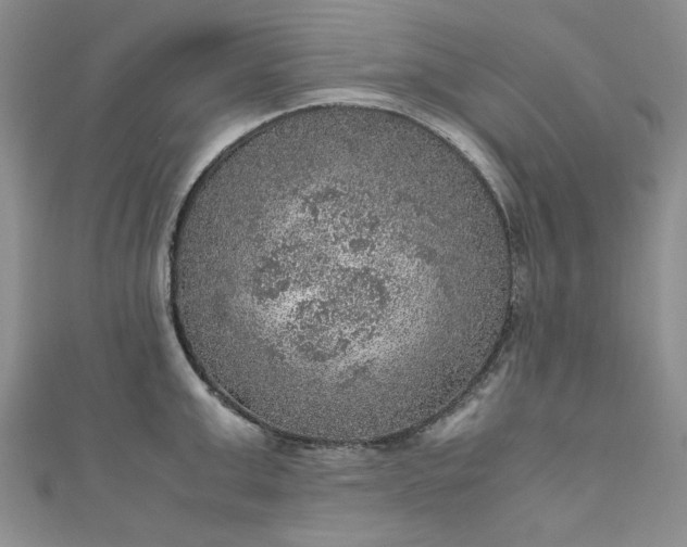 X0000111470999200907271307