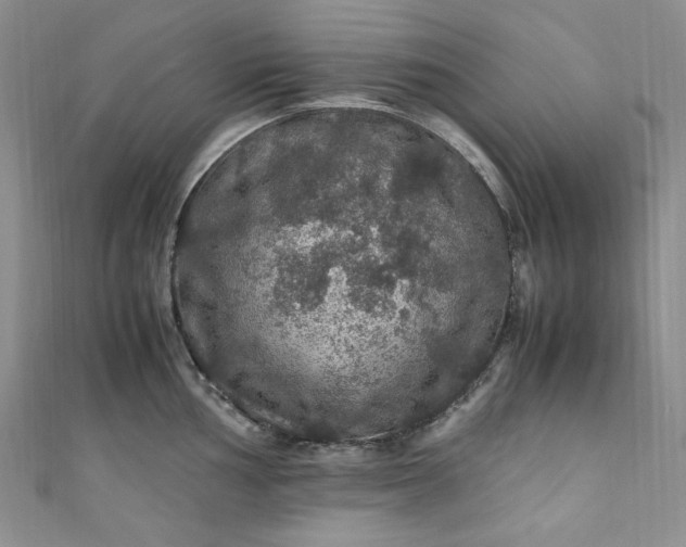 X0000111471002200907271307