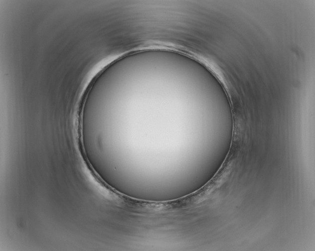 X0000111471003200907271307