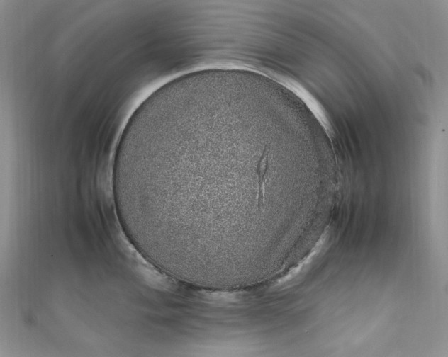 X0000111471004200907271307