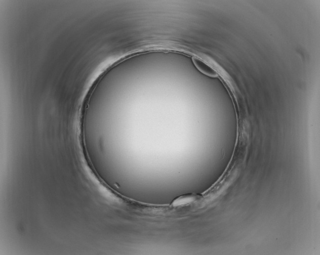 X0000111471005200907271307