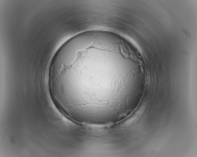 X0000111471007200907271307