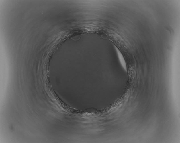 X0000111471009200907271307