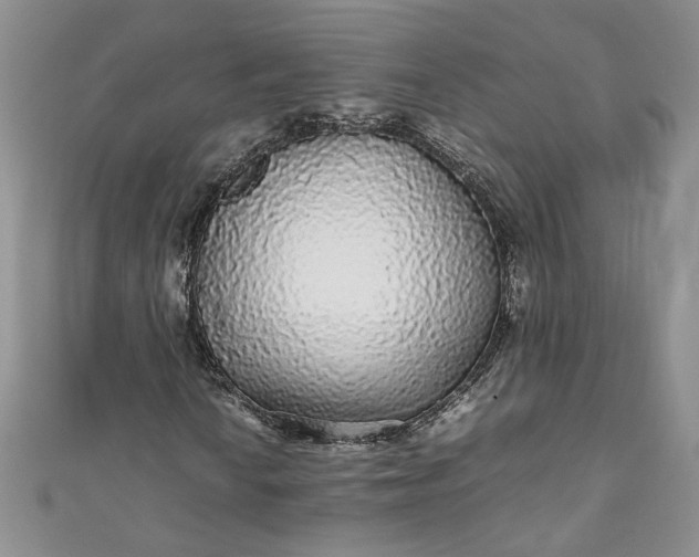 X0000111471010200907271307