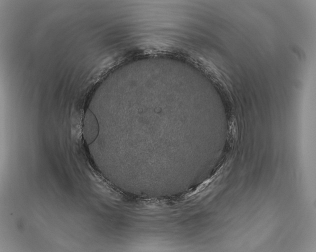 X0000111471012200907271307