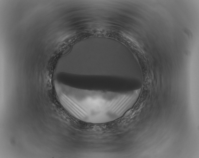 X0000111471013200907271307