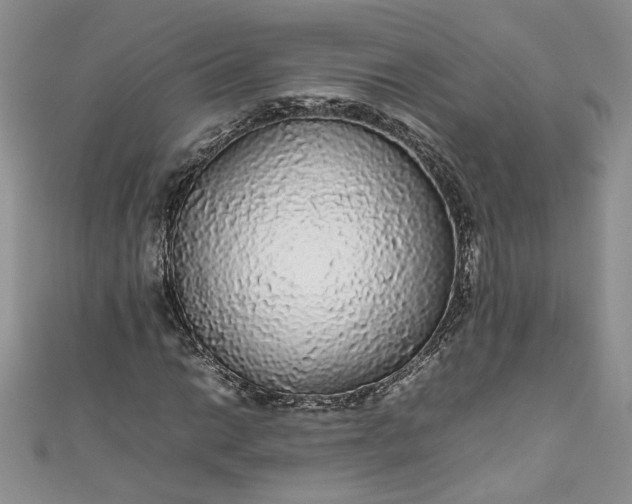 X0000111471014200907271307