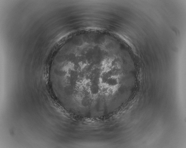 X0000111471015200907271307