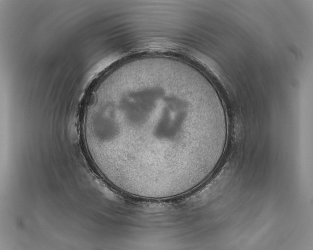 X0000111471018200907271307