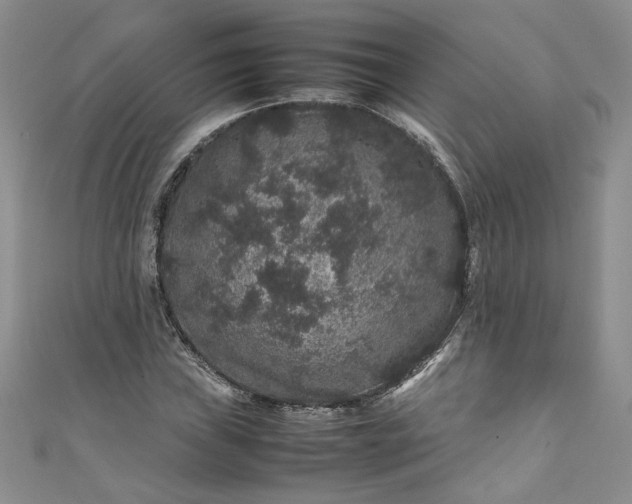 X0000111471019200907271307