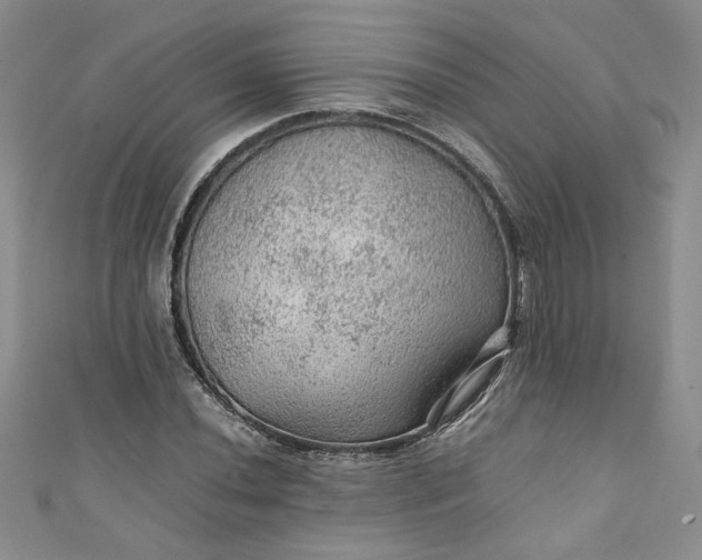 X0000111471020200907271307