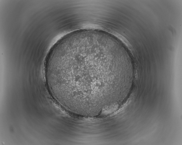 X0000111471022200907271307