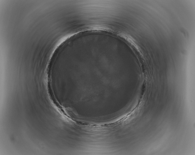 X0000111471024200907271307