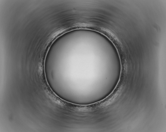 X0000111471025200907271307