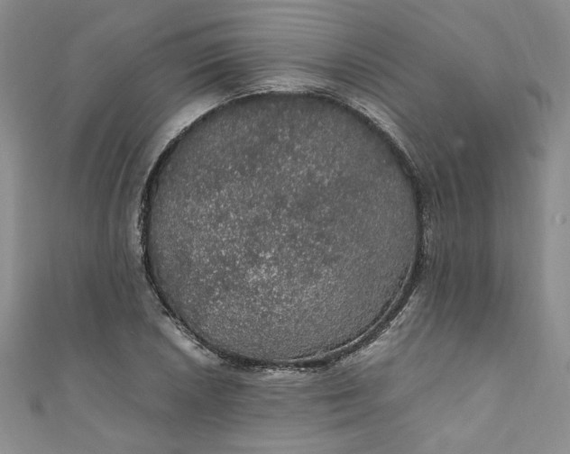 X0000111471026200907271307