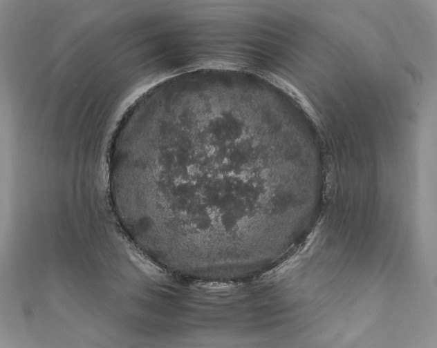 X0000111471027200907271307